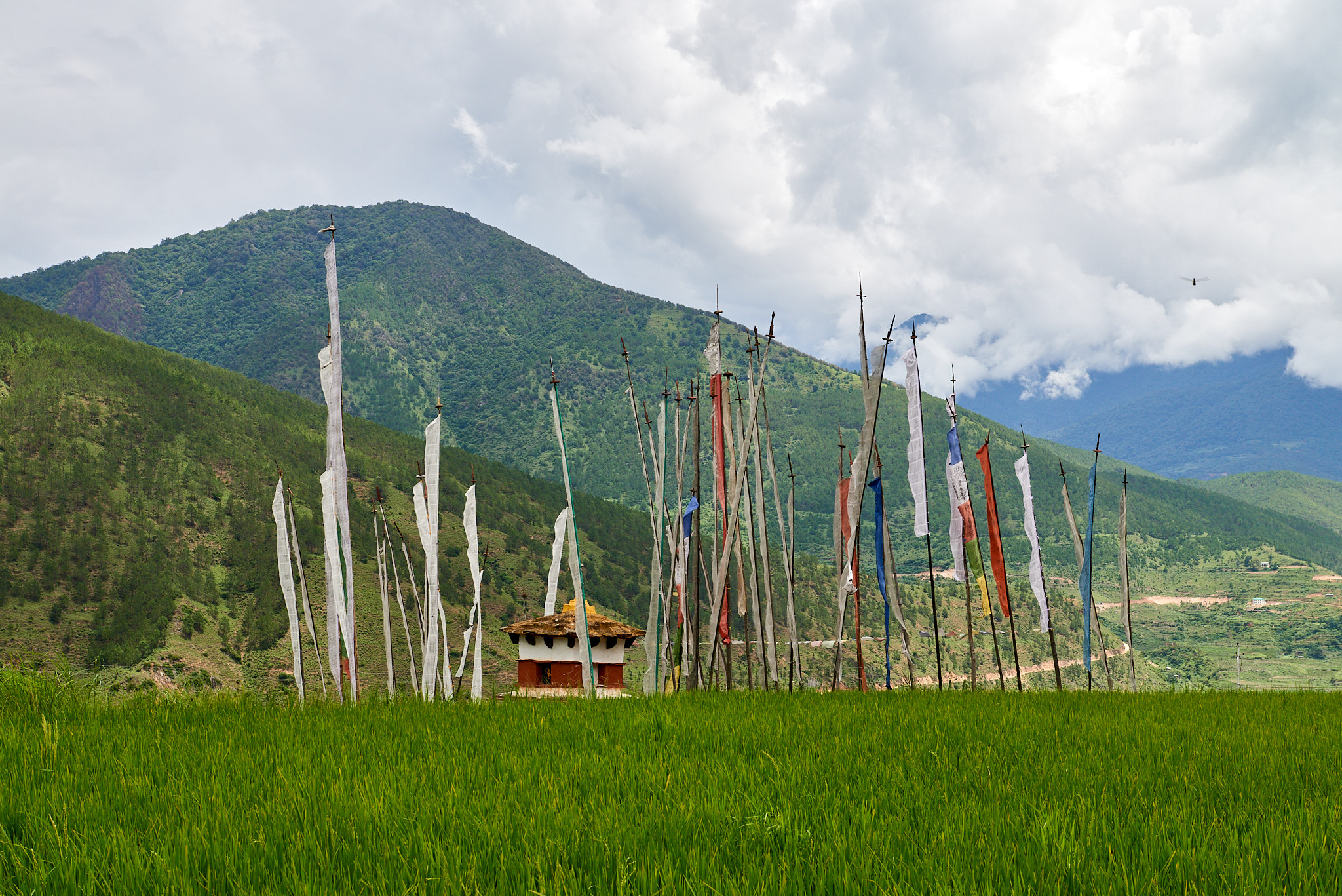 20170805 070 Bhutan Chimi Lhakhang